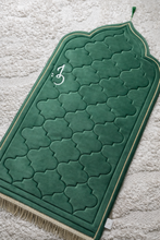 Load image into Gallery viewer, Luxury Velvet- Padded Collection